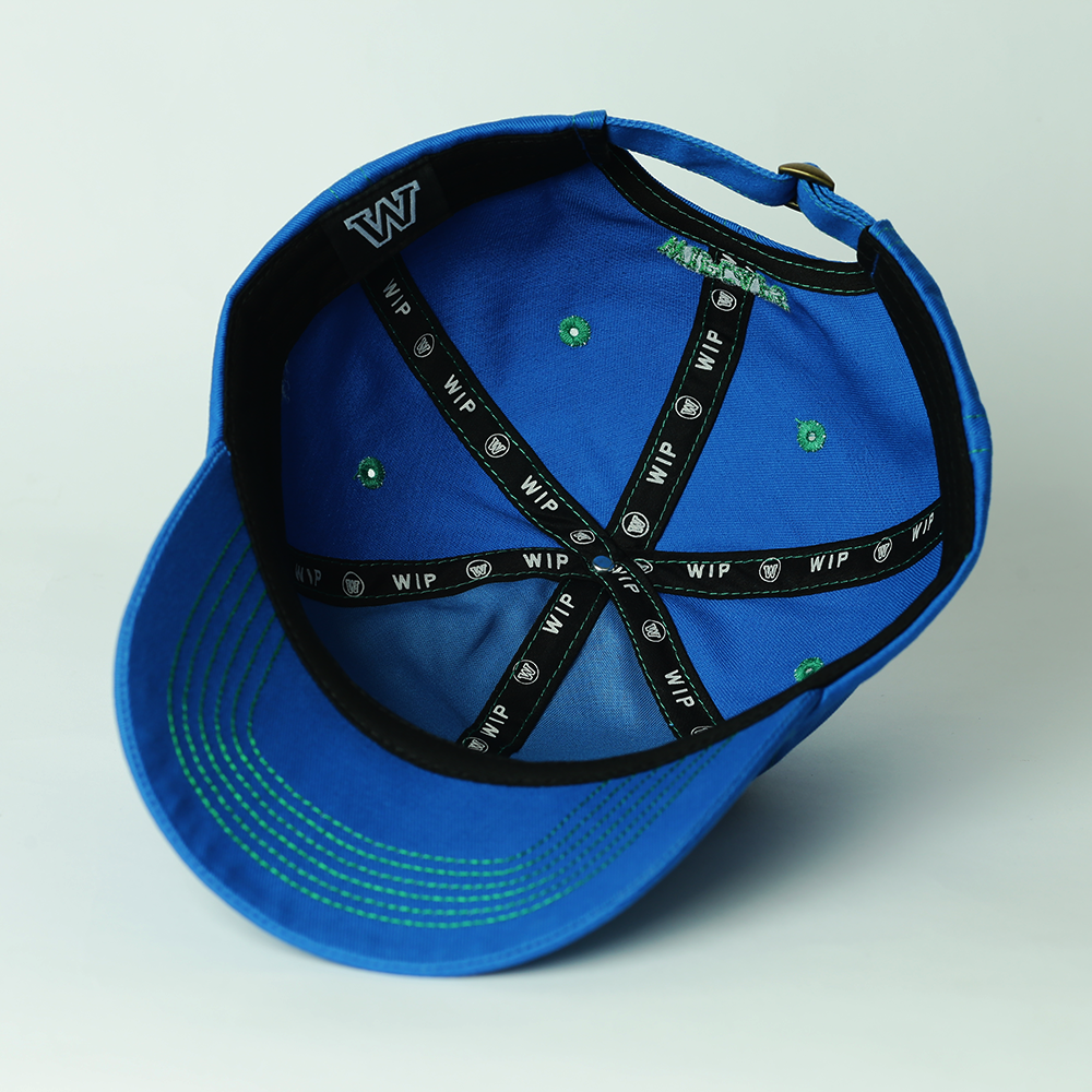 WPCPS ‘Stretch’ Dad Cap